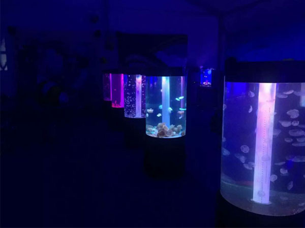水母展览